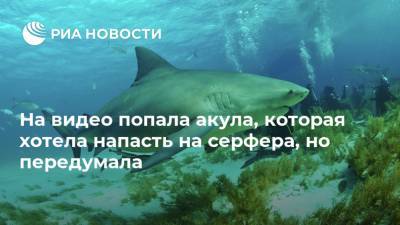 На видео попала акула, которая хотела напасть на серфера, но передумала - ria.ru - Москва - Австралия