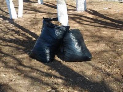 Ситуация находится в «красной зоне»: В Башкирии будут переходить к переработке мусора