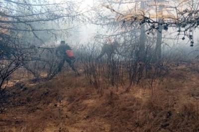 Пожароопасная обстановка может обостриться в нескольких регионах РФ