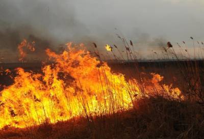 Пожароопасная обстановка может обостриться в некоторых регионах РФ