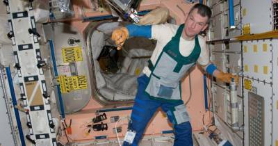 Космонавт подаст в суд на оскорбившего его робота Фёдора