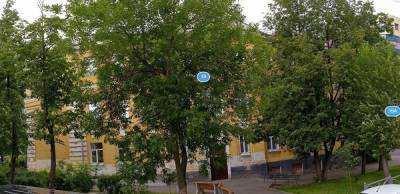 В Екатеринбурге начальную школу гимназии № 5 перевели на дистант