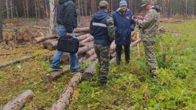 Общественники потребовали проверить подозрительные рубки в заказнике на Южном Урале