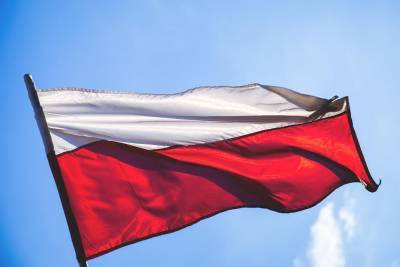 Украинцы жалуются на “скотское” отношение со стороны жителей Польши