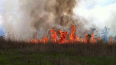 Пожар на полигоне в Больших Ключищах удалось потушить