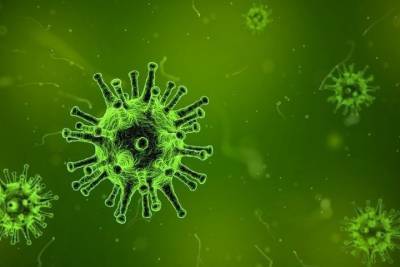 В Псковской области за сутки коронавирусом заболел 61 человек