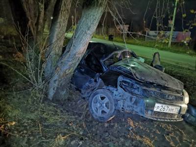 В Сосногорске молодой водитель не справился с управлением и протаранил дерево