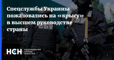 Спецслужбы Украины пожаловались на «крысу» в высшем руководстве страны