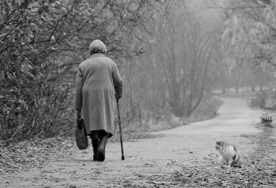Пропавшую 80-летнюю пенсионерку из Ленобласти нашли мертвой