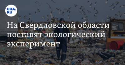На Свердловской области поставят экологический эксперимент