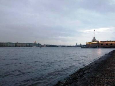 В Петербурге мужчина устроил заплыв по Неве (видео)