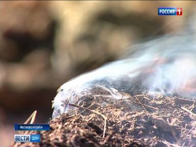 В Ростовской области до 15 октября сохранится самый высокий 5-й класс пожароопасности.
