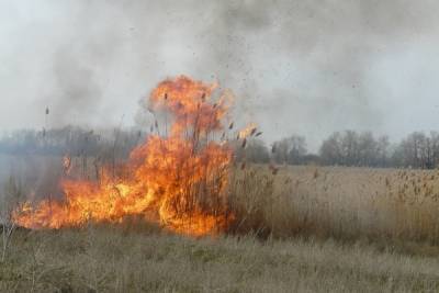 В Ростовской области объявили штормовое предупреждение из-за пожароопасности