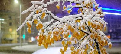 Синоптики пообещали жителям Карелии первый снег к выходным