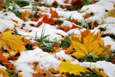 На неделе в Смоленской области может выпасть первый снег