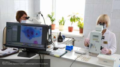 Петербургские медики провели более 15 тысяч тестов на коронавирус за сутки