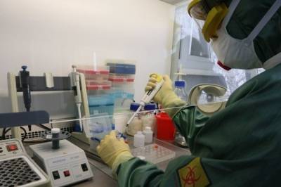 Эпидемиолог оценил шансы на полное исчезновение коронавируса