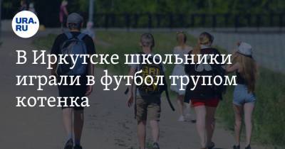 В Иркутске школьники играли в футбол трупом котенка
