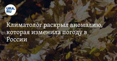 Климатолог раскрыл аномалию, которая изменила погоду в России