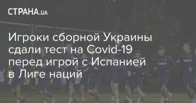 Игроки сборной Украины сдали тест на Covid-19 перед игрой с Испанией в Лиге наций