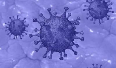 В РФ за сутки подтвердили 13 592 случаев коронавируса