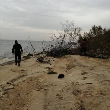 На Кубенском озере нашли тело мужчины