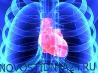 Эксперты исследовали влияние структурных особенностей фиброза на работу сердца