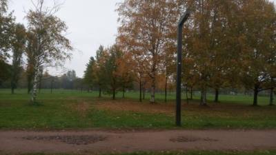 В парке им. Сахарова вырубят деревья для устройства дорожек к спорткомплексу
