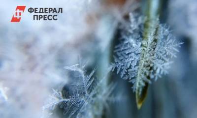 Москвичам пообещали первый снег к концу недели
