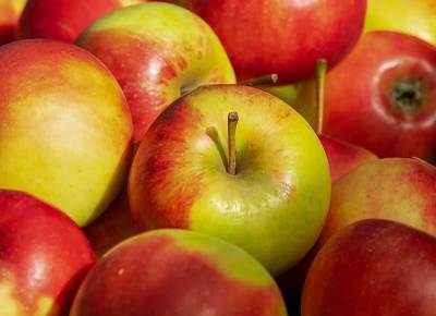 Немецкие специалисты развенчали Топ-5 мифов о яблоках