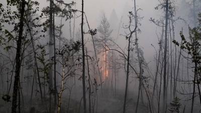 В Тамбовской области сохраняется высокая пожароопасность