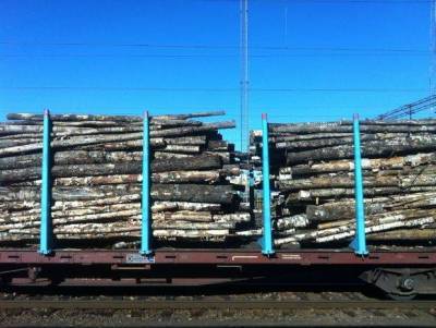Найден способ ограничить экспорт леса из России
