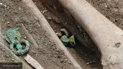 Очевидцы нашли истлевший труп у кладбища под Ульяновском