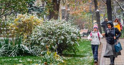 Москвичам пообещали первый снег на ближайших выходных