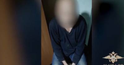 Как в Зеленоградске задержали поцеловавшего шестилетнюю девочку во дворе гимназии (видео)