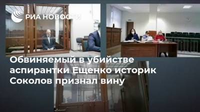 Обвиняемый в убийстве аспирантки Ещенко историк Соколов признал вину