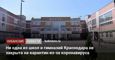 Ни одна из школ и гимназий Краснодара не закрыта на карантин из-за коронавируса