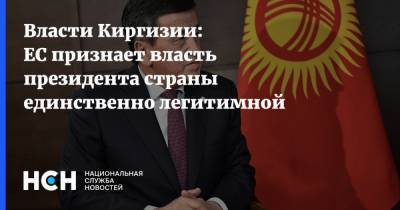 Власти Киргизии: ЕС признает власть президента страны единственно легитимной