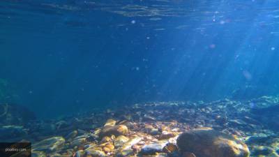 В РАН не зафиксировали превышение норм по химвеществам в водах Камчатки
