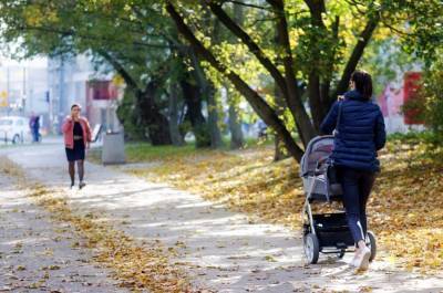 Молодые мамы в Петербурге могут получить выплату на первого ребенка через МФЦ