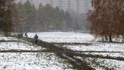 Дождь со снегом ждут в Ленобласти в четверг