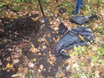 Труп закопал в лесу. Пропавшего в Смоленской области мужчину постигла страшная участь