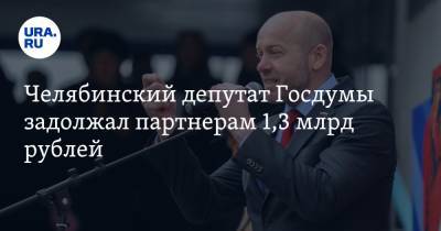 Челябинский депутат Госдумы задолжал партнерам 1,3 млрд рублей