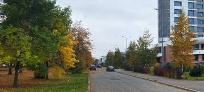 Прохладная погода придет в Карелию 13 октября