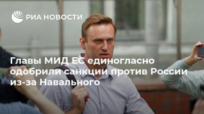 Главы МИД ЕС единогласно одобрили санкции против России из-за Навального