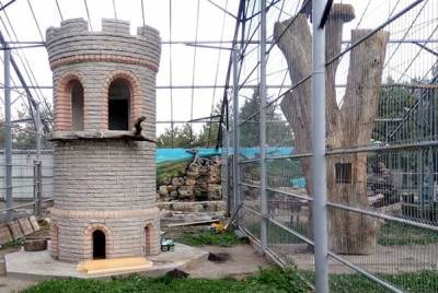 В Виннице в зоопарке строят необычные жилища для хищных птиц