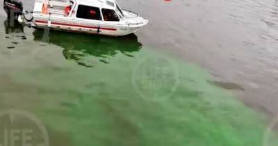 Стекающая в Москву-реку зеленая вода попала на видео