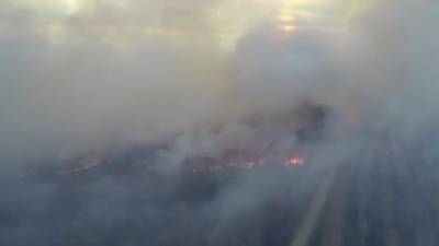 В шести районах Саратовской области горят леса
