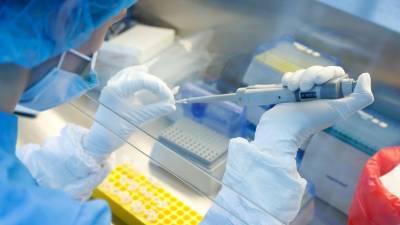 В Петербурге стартует производство тест-систем на антитела к коронавирусу