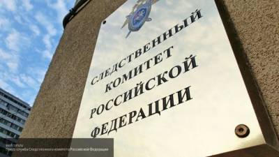 СК завел уголовное дело после стрельбы по толпе в Нижегородской области